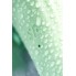Нереалистичный вибратор Satisfyer Air Pump Bunny 5, силикон, зеленый, 15 см 