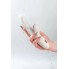 Вибромассажер кролик с вакуумно-волновой клиторальной стимуляцией Satisfyer Pro G-Spot Rabbit